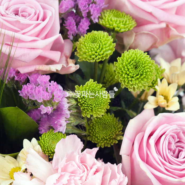핑크 장미,초록색꽃,연분홍꽃 확대모습